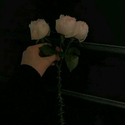 万博max官方入口截图